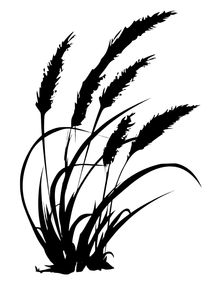 grass